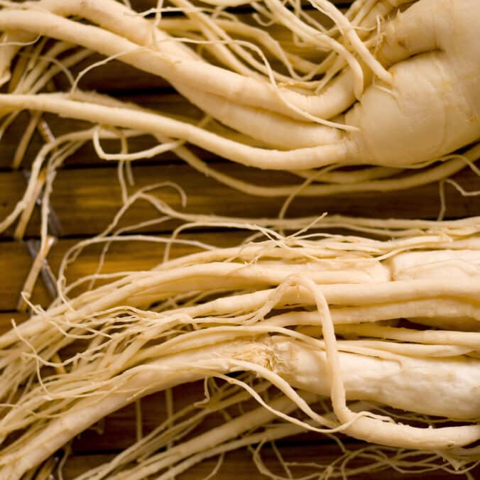 Ginseng