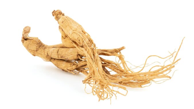 Panax Ginseng AKA Korean Red Ginseng